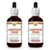 Camphor Tree (Cinnamomum Camphora) 2x2 Oz