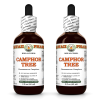 Camphor Tree (Cinnamomum Camphora) 2x2 Oz