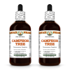 Camphor Tree (Cinnamomum Camphora) 2x4 Oz