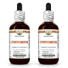 Cyrtomium (Dryopteris Crassirhizoma) 2x2 Oz