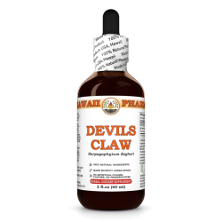 Devil's Claw Liquid Extract, Organic Devil's Claw (Harpagophytum Zeyheri) Dried Root Tincture
