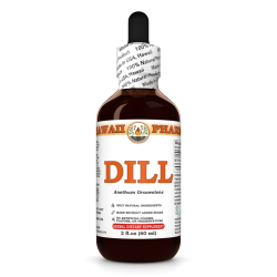 Dill (Anethum Graveolens) Tincture, Certified Organic Dried Weed Liquid Extract