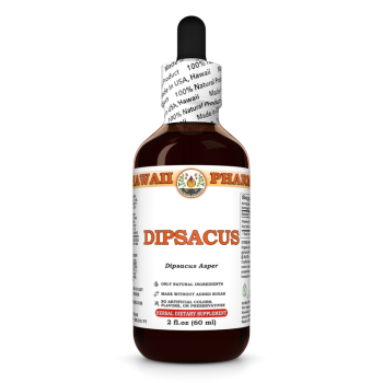 Dipsacus Asper · Wurzel, alkoholische Tinktur