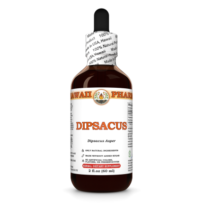 Dipsacus (Dipsacus Asper) Tincture, Dried Roots Liquid Extract, Xu Duan, Herbal Supplement