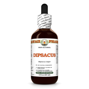 Dipsacus (Dipsacus Asper) Glycerite, Dried Roots Alcohol-Free Liquid Extract, Xu Duan, Glycerite Herbal Supplement