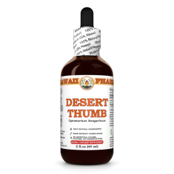Desert Thumb, Suo Yang (Cynomorium Songaricum) Tincture, Dried Herb Liquid Extract, Desert Thumb, Herbal Supplement