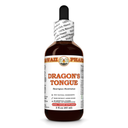 Dragon's Tongue (Sauropus Rostratus) Tincture, Organic Dried Leaf Liquid Extract, Long Li Ye, Herbal Supplement