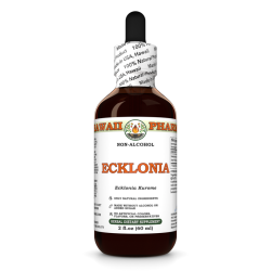 Ecklonia Liquid Extract, Dried whole alga (Ecklonia Kurome) Alcohol-Free Glycerite