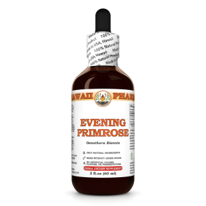 Evening Primrose Liquid Extract. Evening Primrose (Oenothera Biennis) Dry Herb Tincture