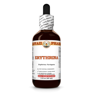 Erythrina Liquid Extract, Dried bark (Erythrina Variegata) Tincture