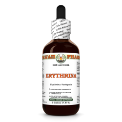 Erythrina Liquid Extract, Dried bark (Erythrina Variegata) Alcohol-Free Glycerite