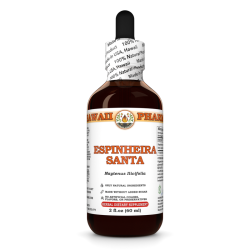 Espinheira Santa (Maytenus Ilicifolia) Tincture, Dried Leaf Liquid Extract