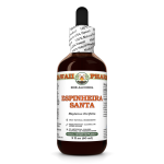 Espinheira Santa (Maytenus Ilicifolia) Tincture, Dried Leaf ALCOHOL-FREE Liquid Extract