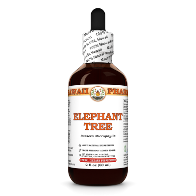 Elephant Tree (Bursera Microphylla) Tincture, Dried Resin Chunk Liquid Extract
