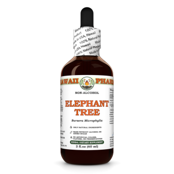 Bursera Microphylla · Harz, alkoholfreier Extrakt
