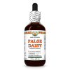 False Daisy (Eclipta Prostrata) 2 Oz