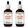 False Daisy (Eclipta Prostrata) 2x2 Oz