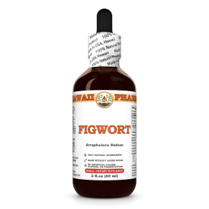 Figwort Liquid Extract, Figwort (Scrophularia Nodosa) Dried Herb Tincture