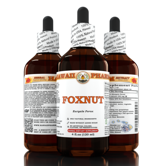 Foxnut (Euryale ferox)