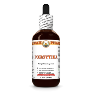 Forsythia Liquid Extract, Forsythia (Forsythia Suspensa) Dried Fruits Tincture