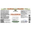 Fraxinus Liquid Extract, Dried bark (Fraxinus Chinensis) Alcohol-Free Glycerite