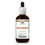 Galangal Root Alcohol-FREE Liquid Extract, Organic Organic Galangal (Alpinia Galangal) Dried Root Glycerite
