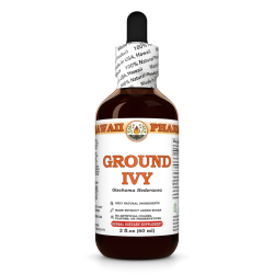 Ground Ivy (Glechoma Hederacea) Tincture, Dried Herb Liquid Extract