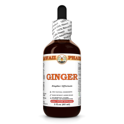 Ginger Liquid Extract, Organic Ginger (Zingiber officinale) Dried Root Tincture