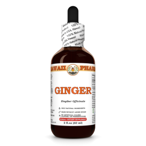 Ginger Liquid Extract, Ginger (Zingiber officinale) Dried Root Tincture