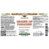 Grains Of Paradise Alcohol-FREE Liquid Extract, Grains Of Paradise (Aframomum Melegueta) Seeds Glycerite