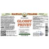 Glossy Privet Alcohol-FREE Liquid Extract, Organic Glossy Privet (Ligustrum Lucidum) Dried Fruit Glycerite