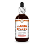 Glossy Privet Liquid Extract, Organic Glossy Privet (Ligustrum Lucidum) Dried Fruits Tincture