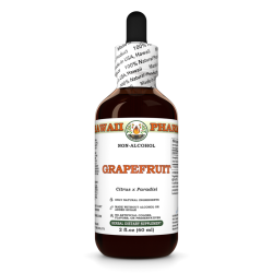 Grapefruit (Citrus x Paradisi) Tincture, Certified Organic Dried Seed ALCOHOL-FREE Liquid Extract