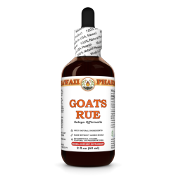 Goats Rue (Galega Officinalis) Tincture, Certified Organic Dried Herb Liquid Extract