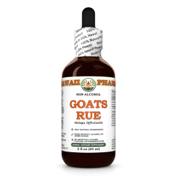 Goats Rue (Galega Officinalis) Tincture, Certified Organic Dried Herb ALCOHOL-FREE Liquid Extract