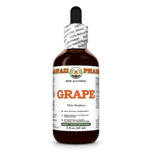 Grape Alcohol-FREE Liquid Extract, Grape (Vitis Vinifera) Dried Seed Glycerite