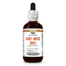 Gu Sui Bu Alcohol-FREE Liquid Extract, Gu Sui Bu, Drynaria (Drynaria Fortunei) Root Glycerite