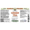Green Tea Alcohol-FREE Liquid Extract, Green Tea (Camellia Sinensis) Dried Leaf Glycerite