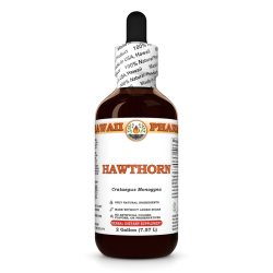Hawthorn (Crataegus Monogyna) Tincture, Dried Leaf and Flower Liquid Extract