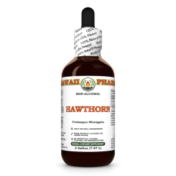 Hawthorn (Crataegus Monogyna) Extract, Dried Leaf and Flower ALCOHOL-FREE Liquid Extract