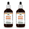 Holy Basil (Ocimum Tenuiflorum) 2x4 Oz