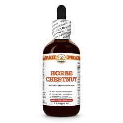 Horse Chestnut Liquid Extract, Organic Horse Chestnut (Aesculus hippocastanum) Dried Nuts Tincture