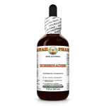 Horseradish Alcohol-FREE Liquid Extract, Horseradish (Cochlearia Armoracia) Dried Root Glycerite