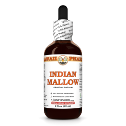 Indian Mallow Liquid Extract, Dried seed (Abutilon Indicum) Tincture