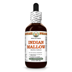 Indian Mallow Liquid Extract, Dried seed (Abutilon Indicum) Alcohol-Free Glycerite
