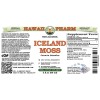 Iceland Moss Alcohol-FREE Liquid Extract, Iceland Moss (Cetraria Islandica) Whole Plant Glycerite