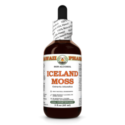 Iceland Moss Alcohol-FREE Liquid Extract, Iceland Moss (Cetraria Islandica) Whole Plant Glycerite