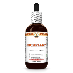 Inchplant Liquid Extract, Dried herb (Tradescantia Zebrina) Tincture