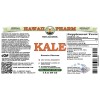 Kale, Red Spiderling (Brassica Oleracea) Tincture, Dried Leaf ALCOHOL-FREE Liquid Extract, Kale, Glycerite Herbal Supplement