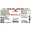 Khella (Ammi Visnaga) Extract, Dried Seed ALCOHOL-FREE Liquid Extract